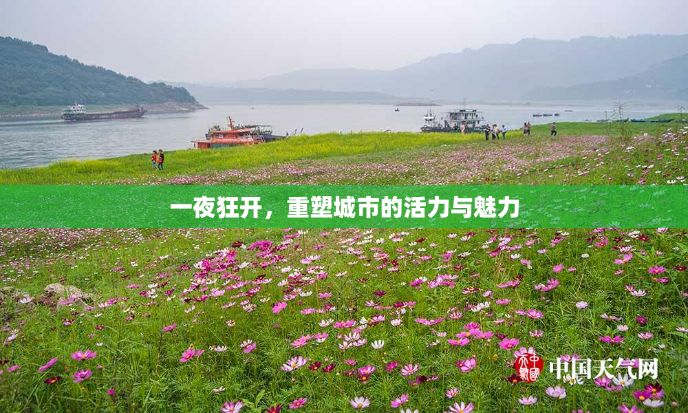 一夜狂开，重塑城市的活力与魅力