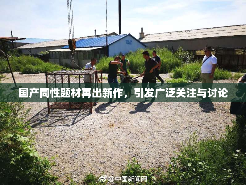 国产同性题材再出新作，引发广泛关注与讨论