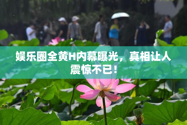 娱乐圈全黄H内幕曝光，真相让人震惊不已！