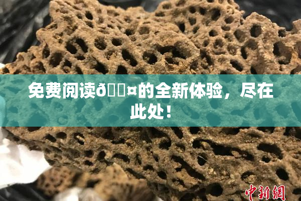 免费阅读🐤的全新体验，尽在此处！