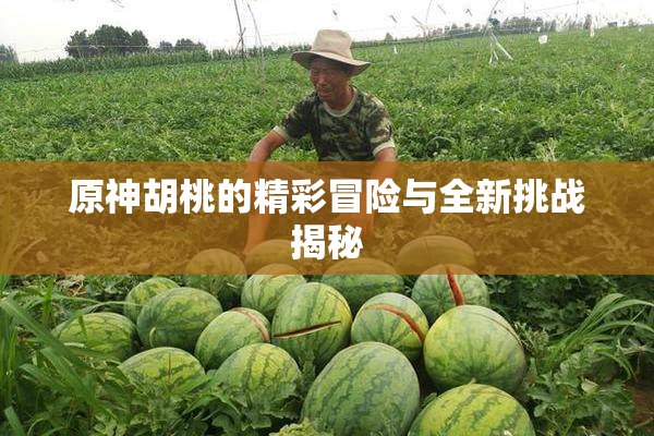 原神胡桃的精彩冒险与全新挑战揭秘