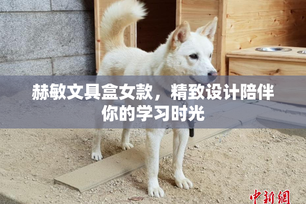赫敏文具盒女款，精致设计陪伴你的学习时光
