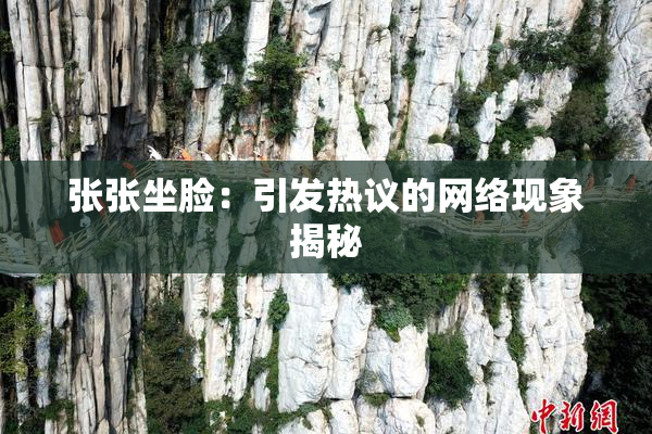 张张坐脸：引发热议的网络现象揭秘