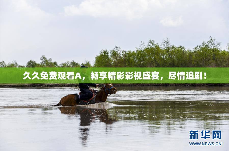久久免费观看A，畅享精彩影视盛宴，尽情追剧！