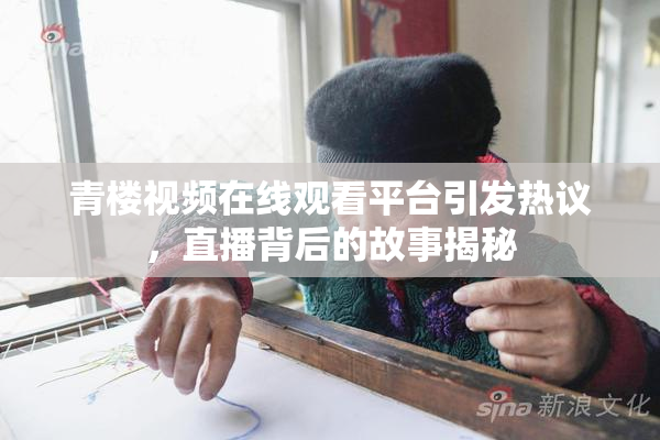 青楼视频在线观看平台引发热议，直播背后的故事揭秘