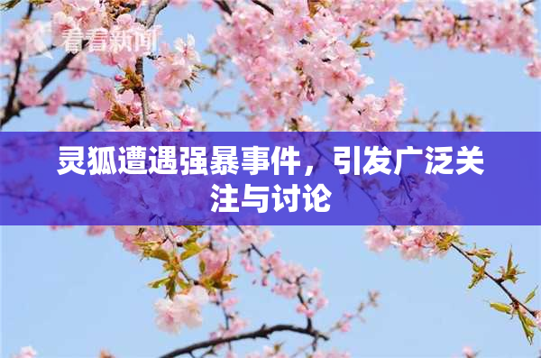 灵狐遭遇强暴事件，引发广泛关注与讨论