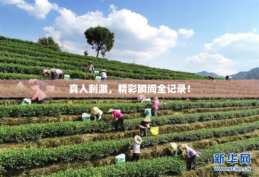 真人刺激，精彩瞬间全记录！