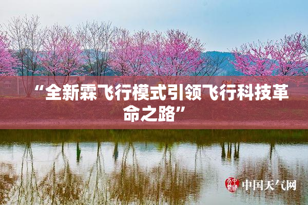 “全新霖飞行模式引领飞行科技革命之路”
