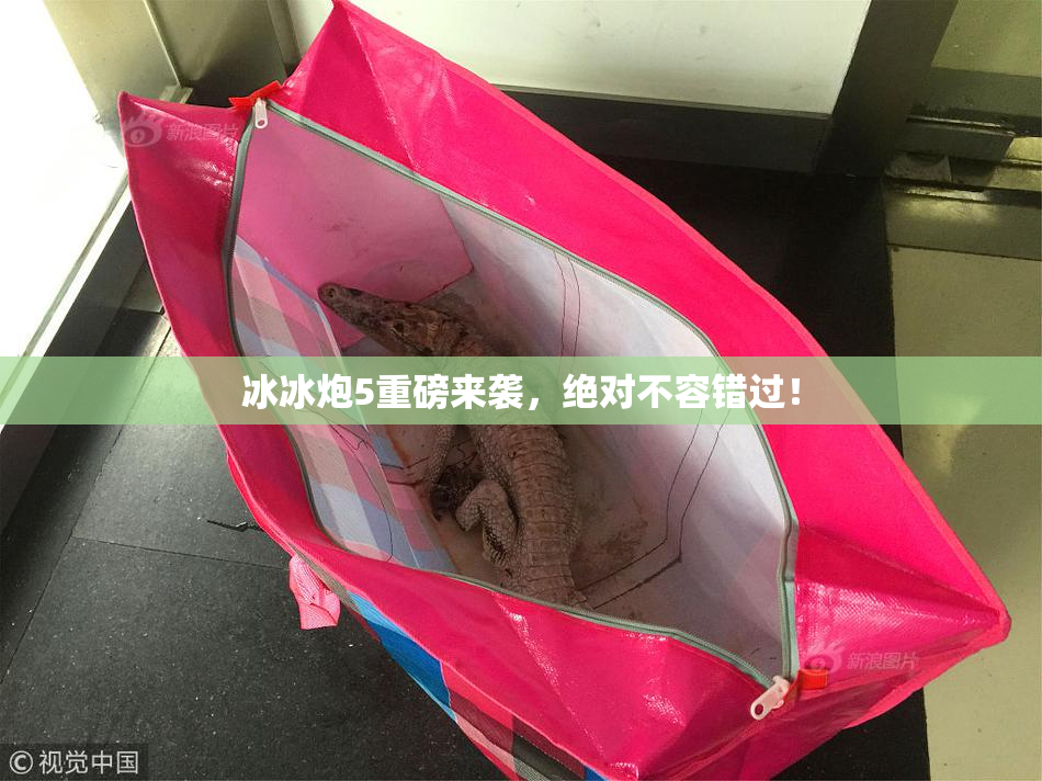 冰冰炮5重磅来袭，绝对不容错过！
