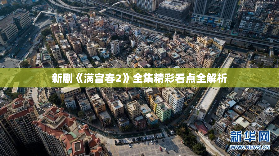 新剧《满宫春2》全集精彩看点全解析