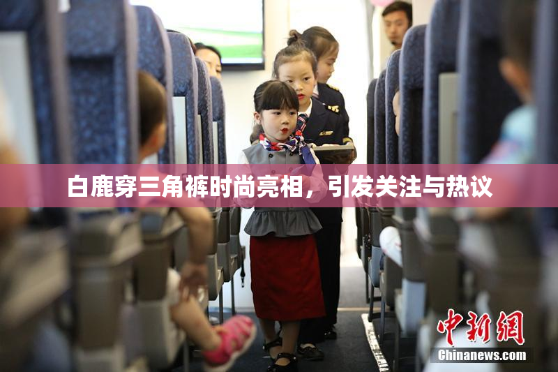 白鹿穿三角裤时尚亮相，引发关注与热议