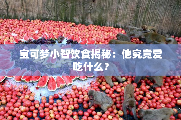 宝可梦小智饮食揭秘：他究竟爱吃什么？