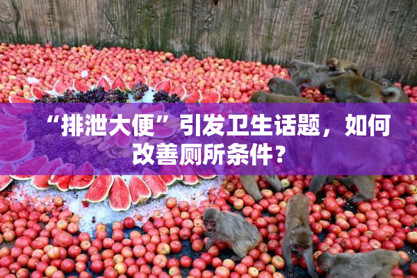 “排泄大便”引发卫生话题，如何改善厕所条件？