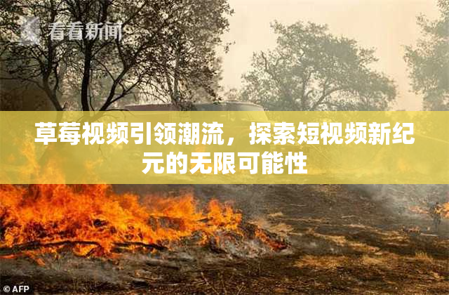 草莓视频引领潮流，探索短视频新纪元的无限可能性