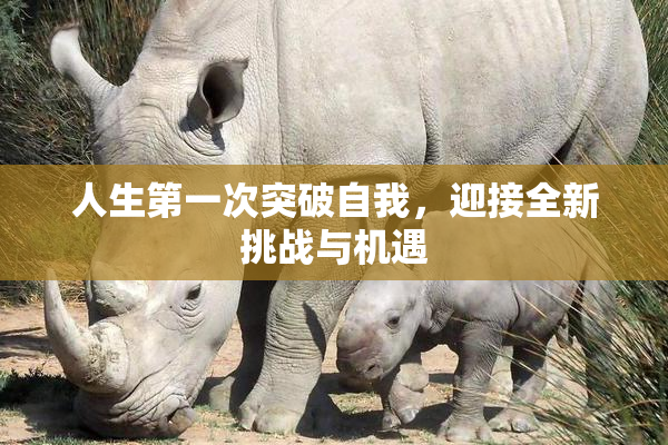 人生第一次突破自我，迎接全新挑战与机遇