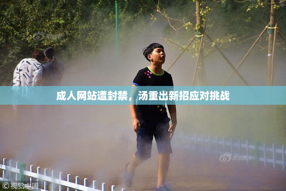 成人网站遭封禁，汤重出新招应对挑战