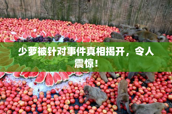 少萝被针对事件真相揭开，令人震惊！