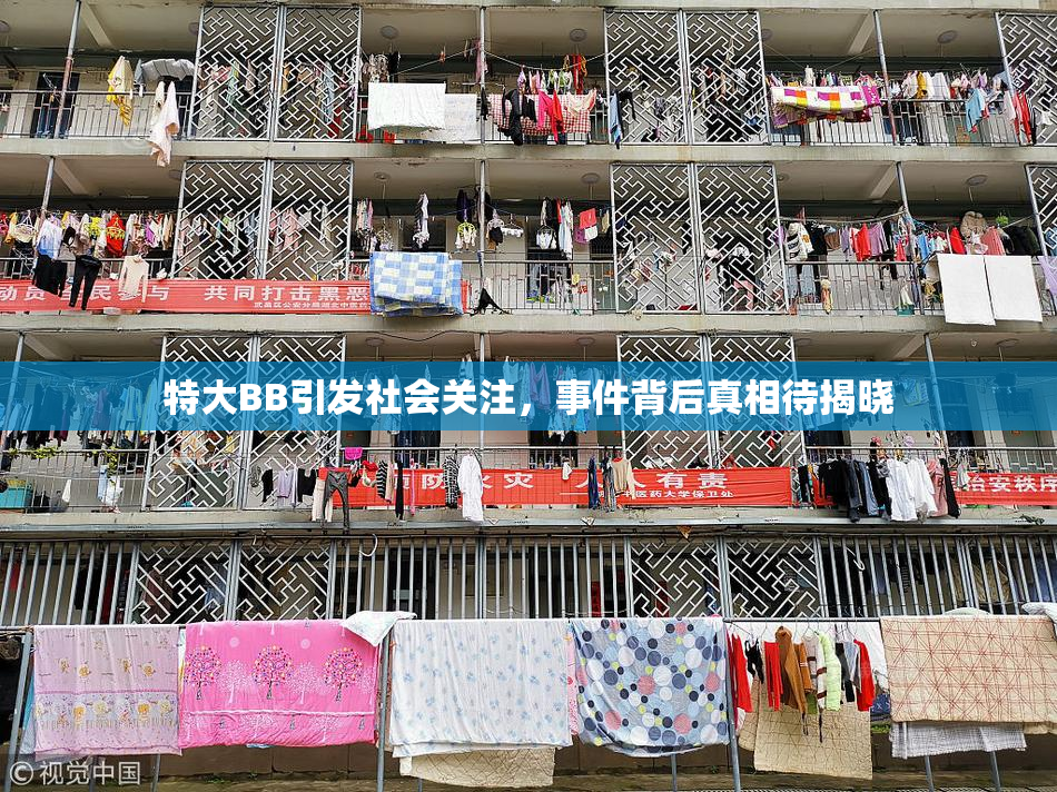 特大BB引发社会关注，事件背后真相待揭晓