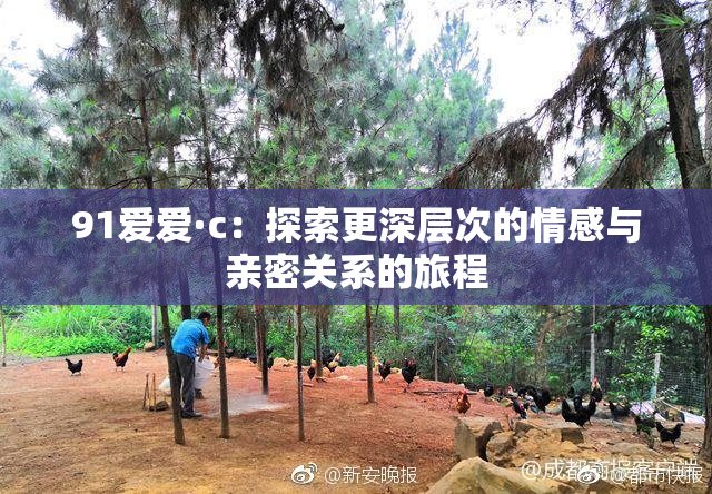 91爱爱·c：探索更深层次的情感与亲密关系的旅程