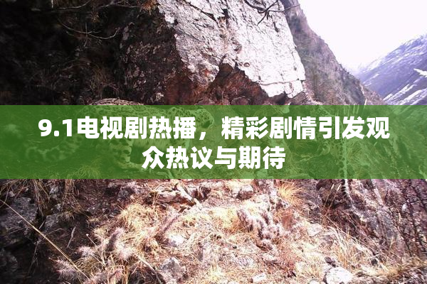 9.1电视剧热播，精彩剧情引发观众热议与期待
