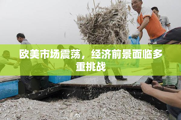 欧美市场震荡，经济前景面临多重挑战