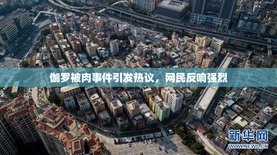 伽罗被肉事件引发热议，网民反响强烈