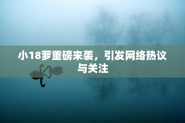 小18萝重磅来袭，引发网络热议与关注