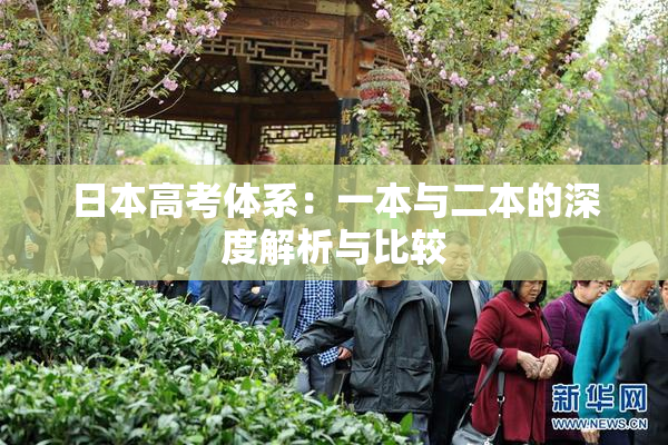 日本高考体系：一本与二本的深度解析与比较