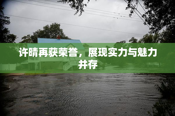 许晴再获荣誉，展现实力与魅力并存