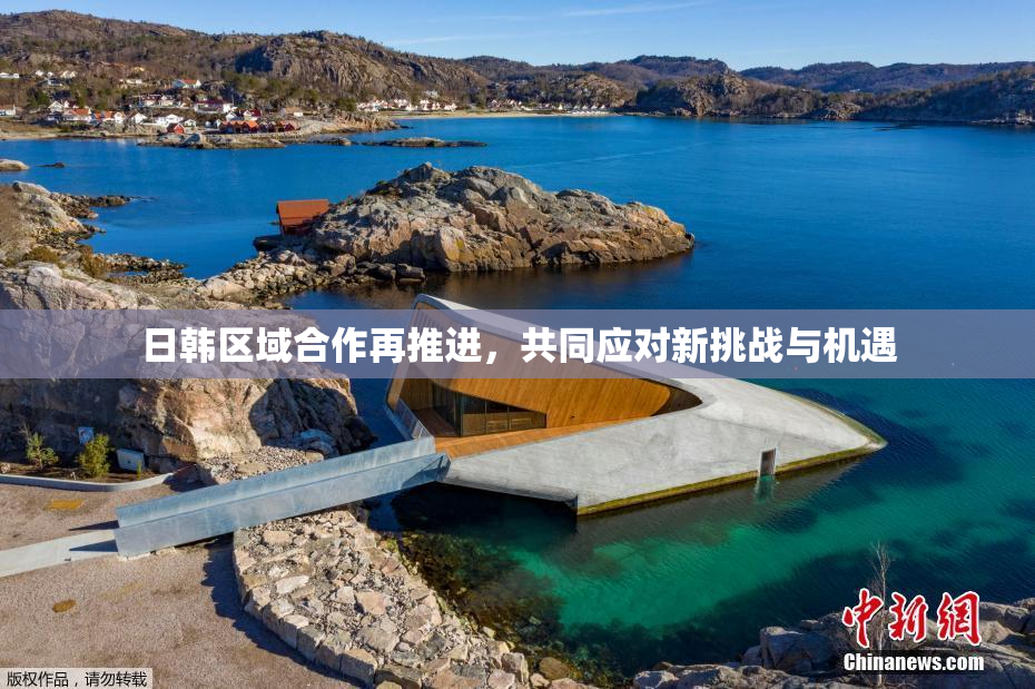 日韩区域合作再推进，共同应对新挑战与机遇