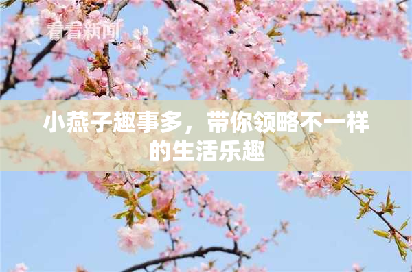 小燕子趣事多，带你领略不一样的生活乐趣