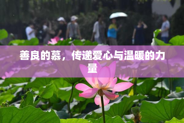 善良的慕，传递爱心与温暖的力量