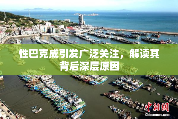 性巴克成引发广泛关注，解读其背后深层原因