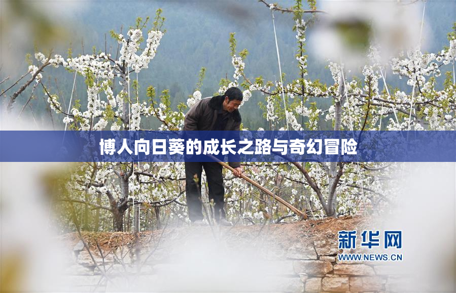 博人向日葵的成长之路与奇幻冒险