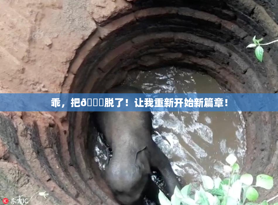 乖，把👙脱了！让我重新开始新篇章！