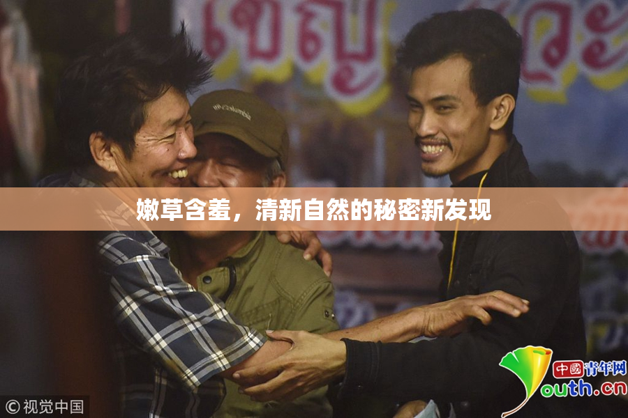 嫩草含羞，清新自然的秘密新发现