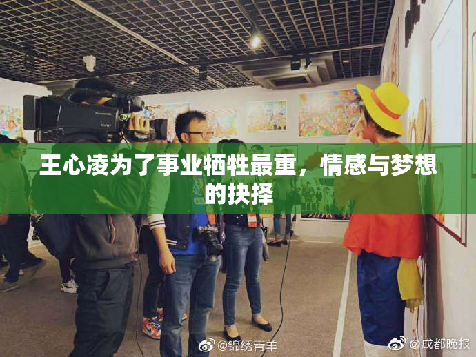 王心凌为了事业牺牲最重，情感与梦想的抉择