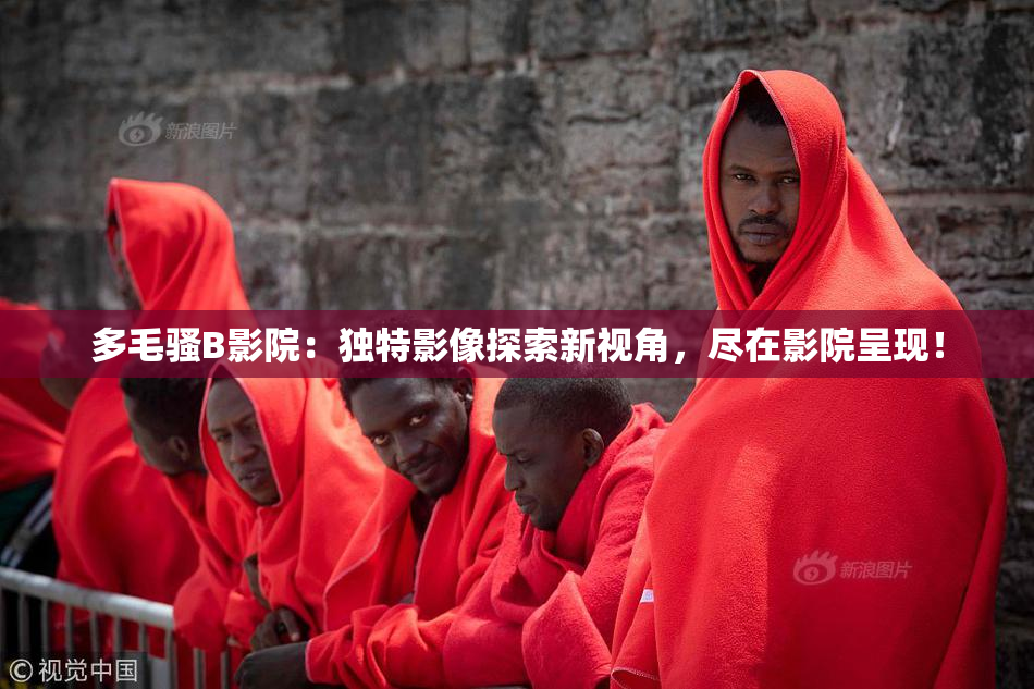 多毛骚B影院：独特影像探索新视角，尽在影院呈现！
