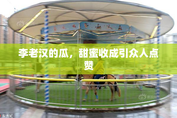 李老汉的瓜，甜蜜收成引众人点赞