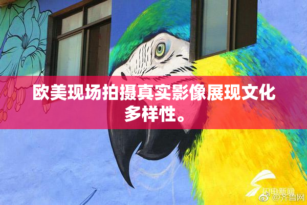 欧美现场拍摄真实影像展现文化多样性。