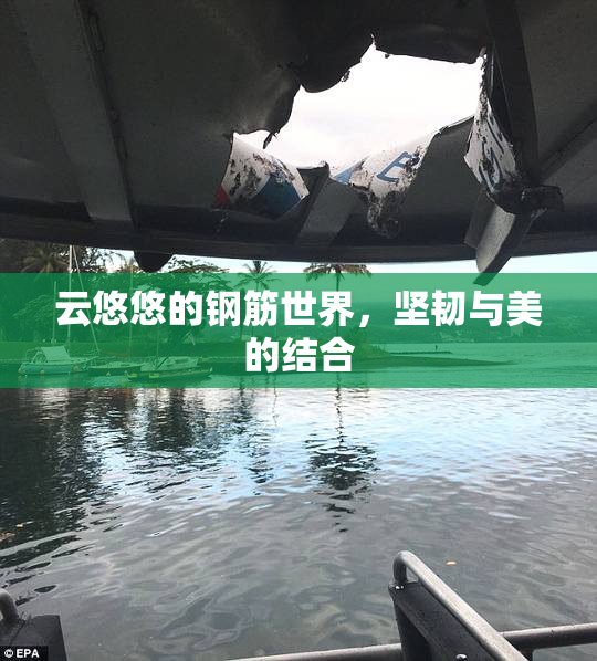 云悠悠的钢筋世界，坚韧与美的结合