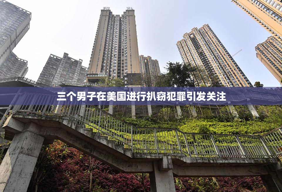三个男子在美国进行扒窃犯罪引发关注