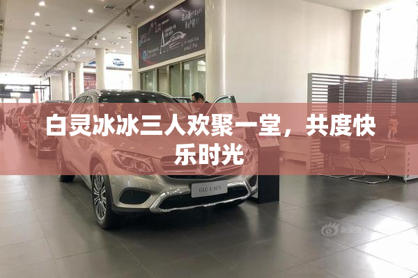 白灵冰冰三人欢聚一堂，共度快乐时光