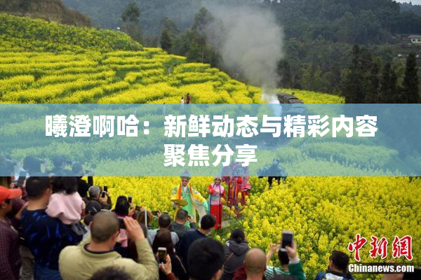 曦澄啊哈：新鲜动态与精彩内容聚焦分享