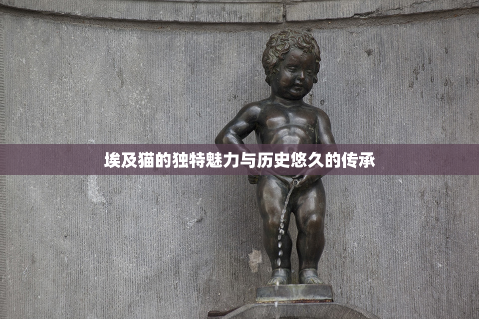 埃及猫的独特魅力与历史悠久的传承