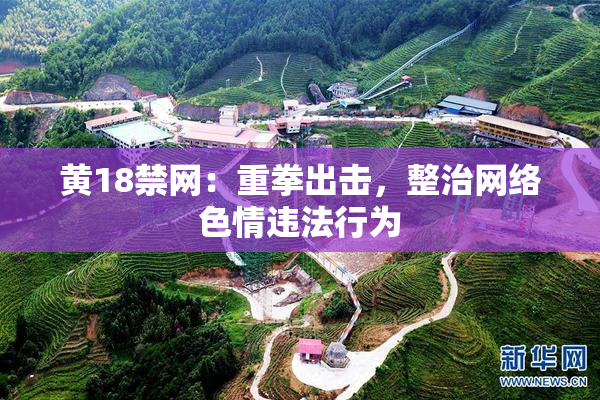 黄18禁网：重拳出击，整治网络色情违法行为
