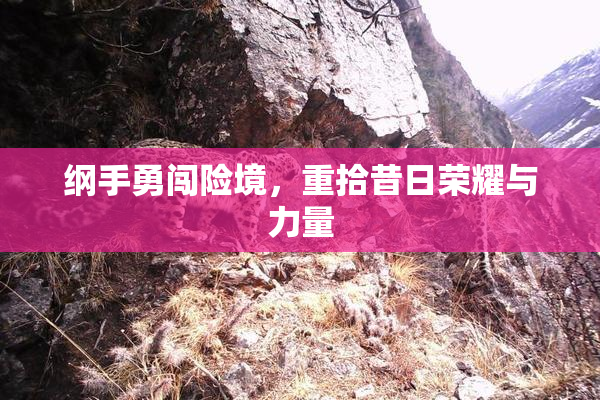 纲手勇闯险境，重拾昔日荣耀与力量