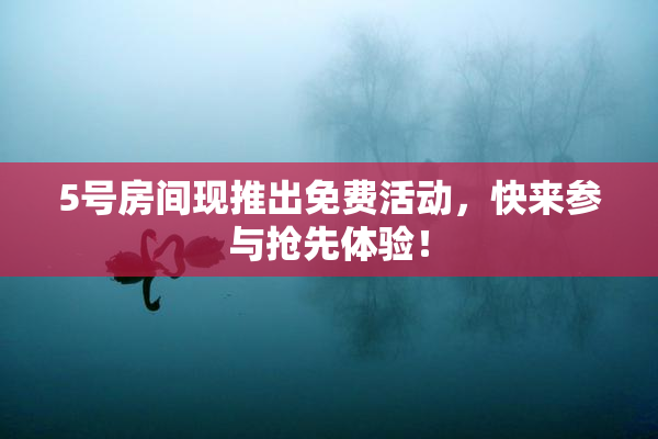 5号房间现推出免费活动，快来参与抢先体验！