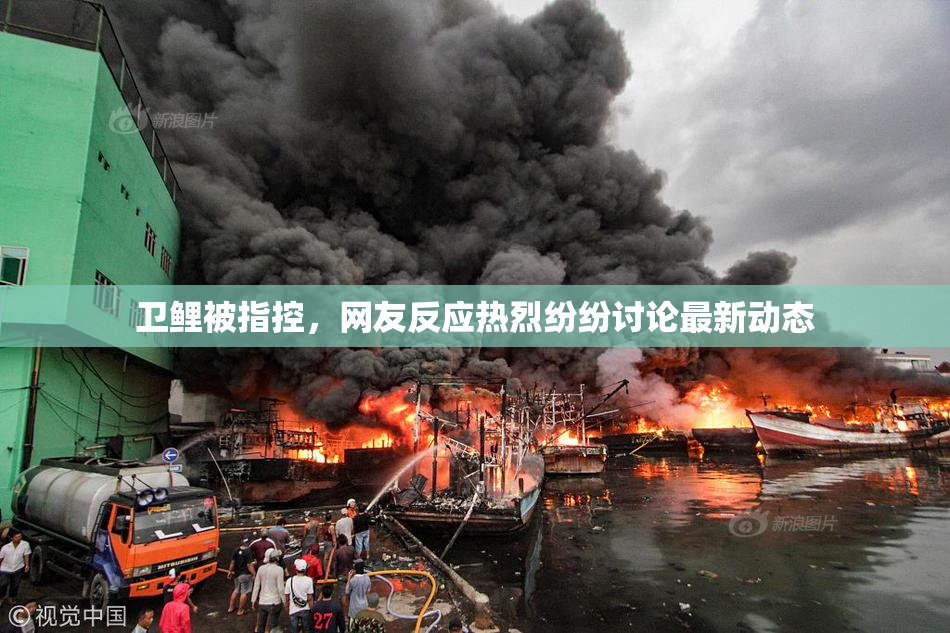 卫鲤被指控，网友反应热烈纷纷讨论最新动态