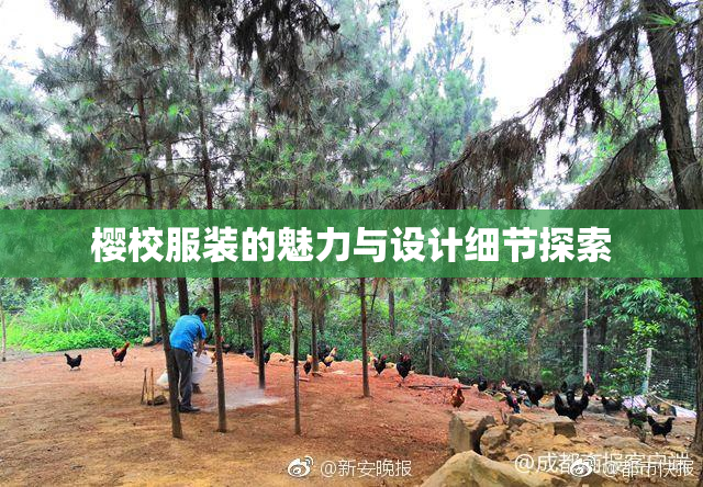 樱校服装的魅力与设计细节探索